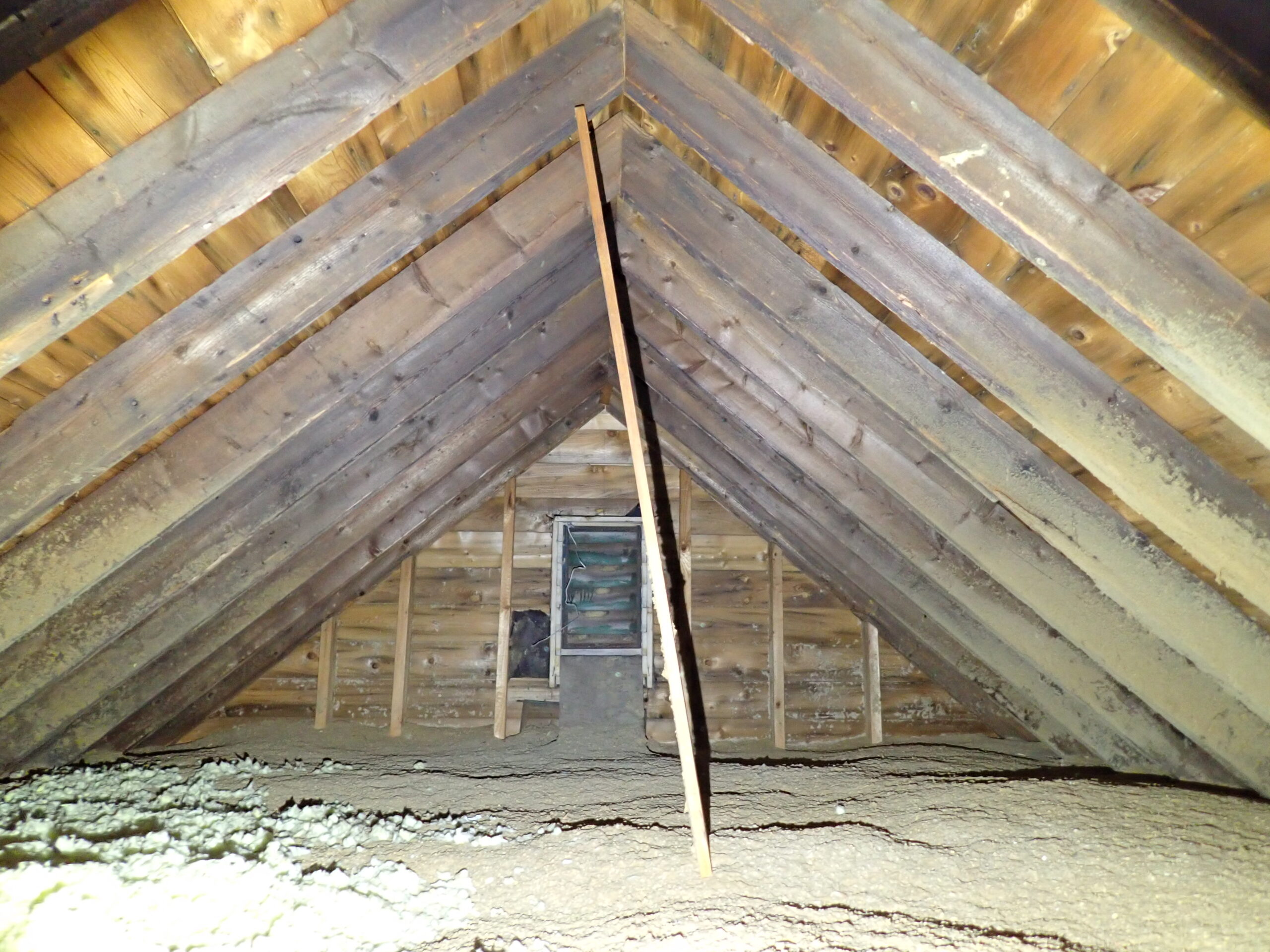 Attic Inspections – From top to ~bottom